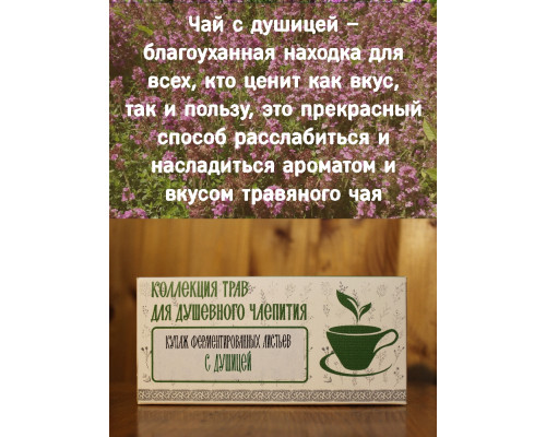 Коллекция трав для душевного чаепития с душицей