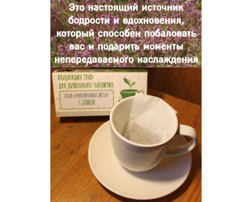 Коллекция трав для душевного чаепития с душицей