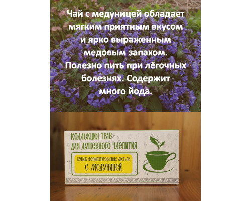 Коллекция трав для душевного чаепития с медуницей