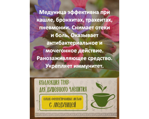Коллекция трав для душевного чаепития с медуницей