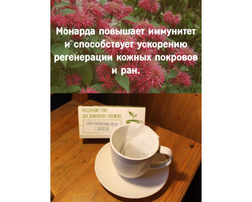 Коллекция трав для душевного чаепития с монардой
