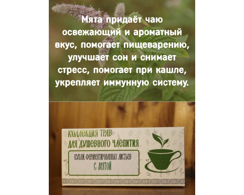 Коллекция трав для душевного чаепития с мятой