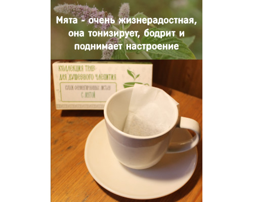Коллекция трав для душевного чаепития с мятой