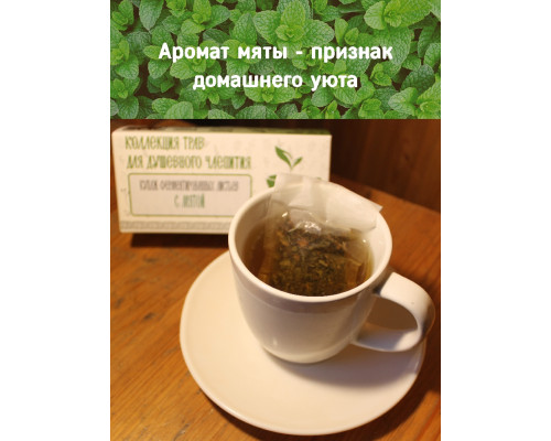 Коллекция трав для душевного чаепития с мятой